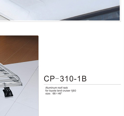 cp-310-1b