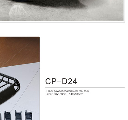 cp-d24